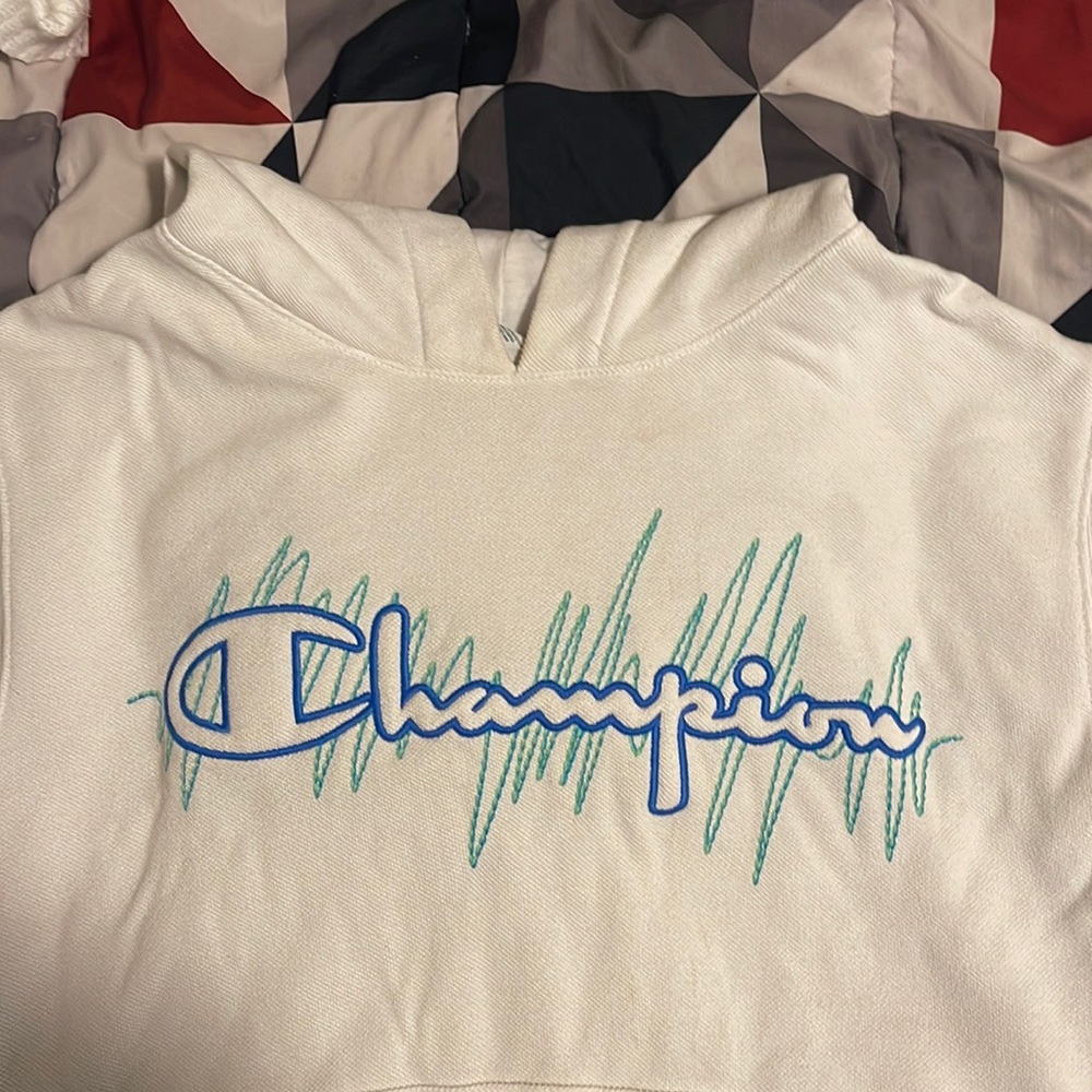 It’s a short sleeve champion hoodie in white and some blue and green lettering